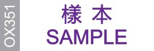 Demo Logo